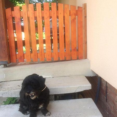 Ady Endre 9.A Apartment Balatonfuzfo Luaran gambar